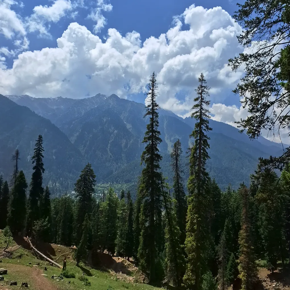 Gulmarg